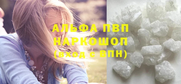 PSILOCYBIN Белокуриха