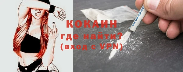 PSILOCYBIN Белокуриха