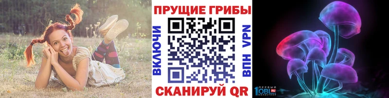наркотики  Борисоглебск  Галлюциногенные грибы Magic Shrooms 