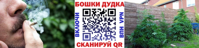 МЕГА маркетплейс  Борисоглебск  Бошки Шишки марихуана  купить закладку 